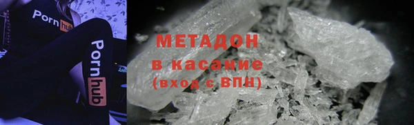 гидра Надым