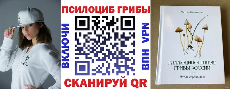 mega ONION  Новокубанск  площадка Telegram  Галлюциногенные грибы прущие грибы 