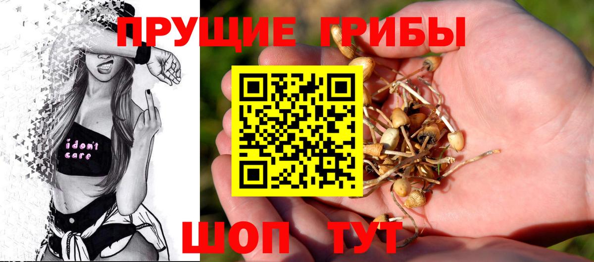 Галлюциногенные грибы MAGIC MUSHROOMS  Вход с VPN  Новокубанск 